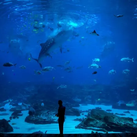 Centro By Silastur 公寓 希洪