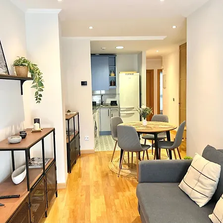 公寓 Centro By Silastur 希洪